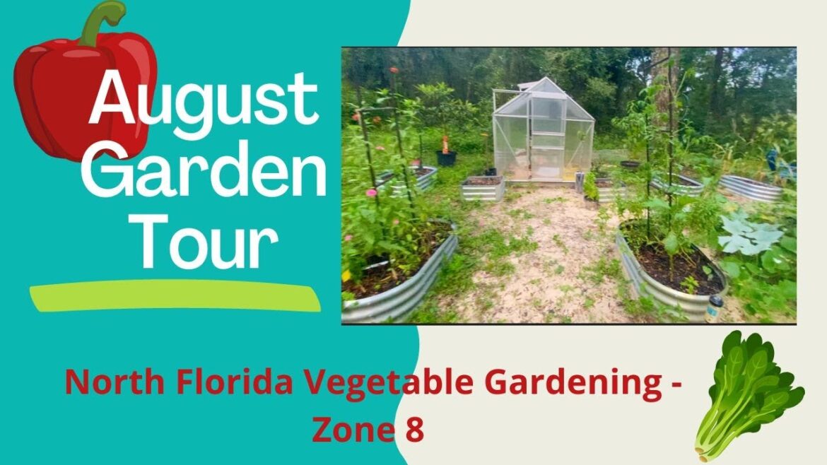 August Vegetable Garden Tour | North Florida Gardening | Zone 8 | Organic Garden