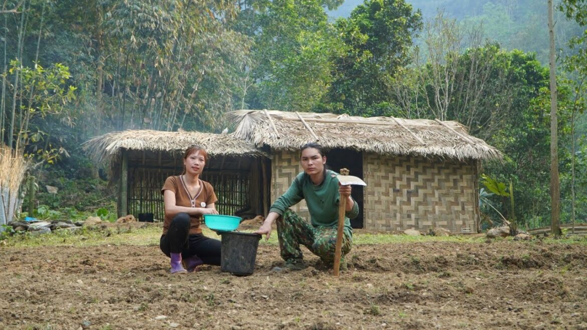 Gardening with your girlfriend, growing vegetables, taking care of pets on the farm, survival alone