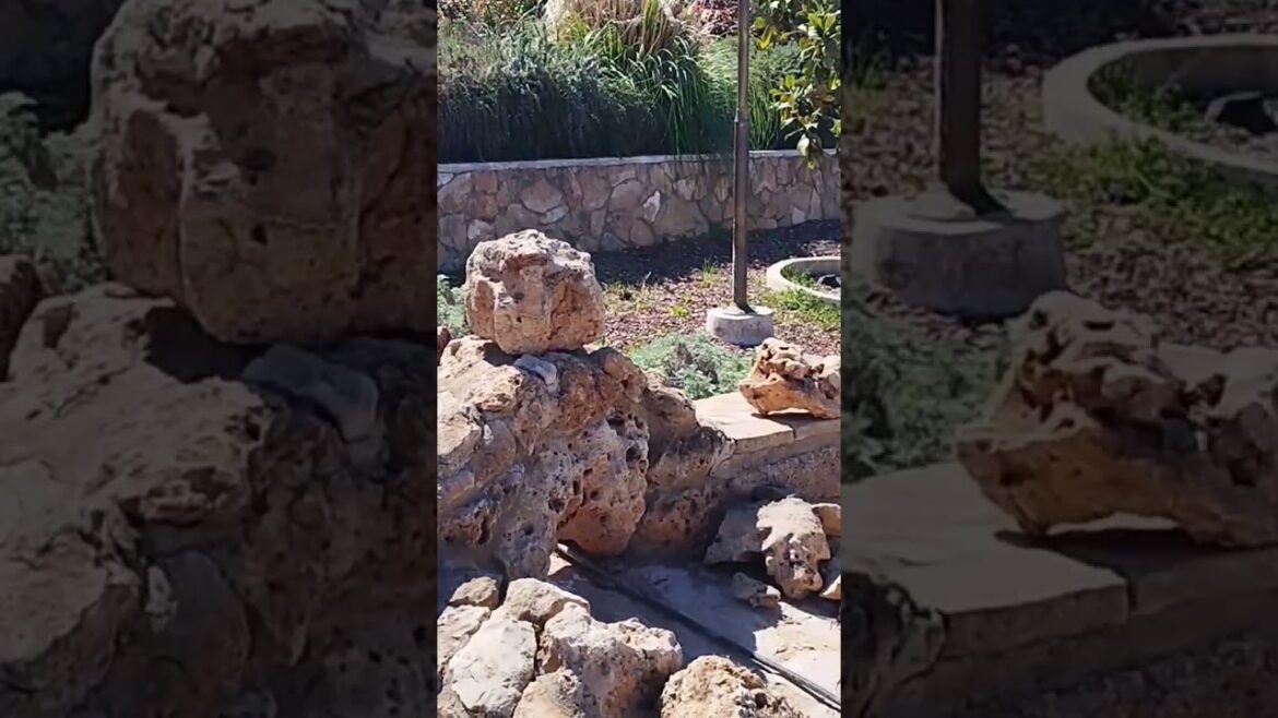 ιδέες για όμορφο κήπο.smart garden ideas