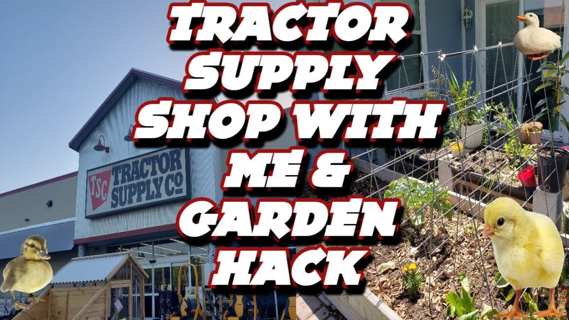 Hacks to Transform Your Garden - Shop with Me at Tractor Supply! #chickencoop #gardenhack