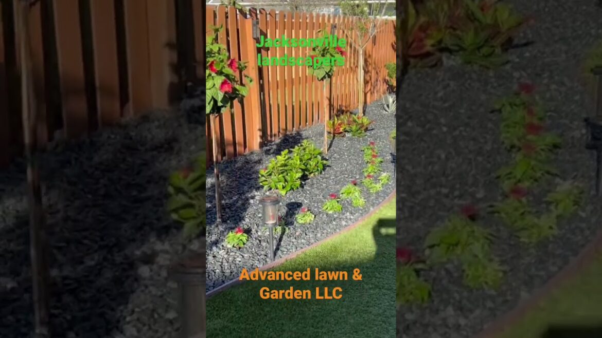 Backyard Ideas For Landscaping In Florida