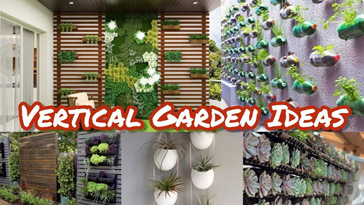 Vertical Garden Ideas | Vertical Garden Ideas For Home – Vertical Garden Setup #verticalgarden Vertical Garden Ideas | Vertical Garden Ideas For Home - Vertical Garden Setup #verticalgarden