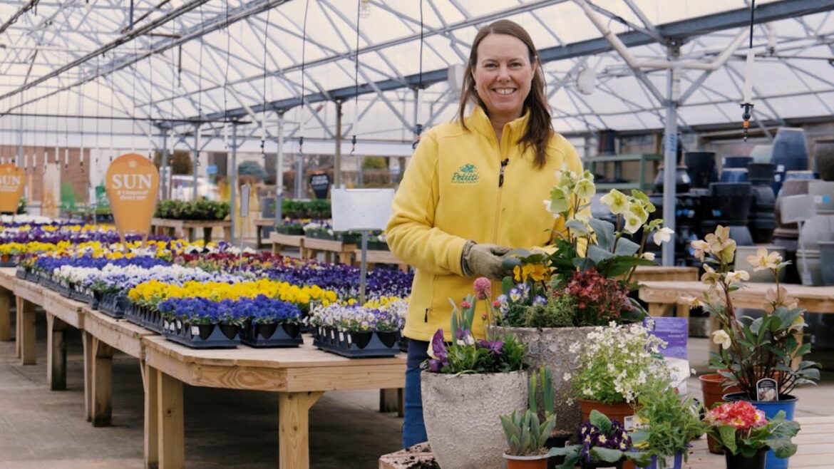 PETITTI | Early Spring Container Garden Inspiration