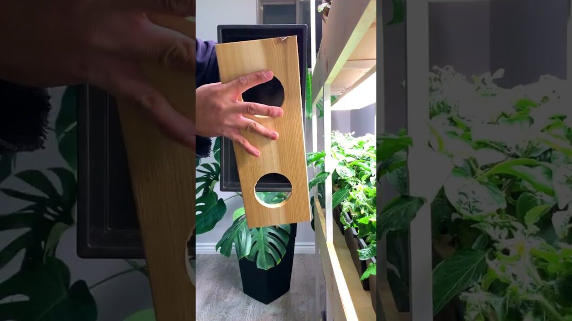 Found a regular planter and converted it into a modern hydroponic kratky bin