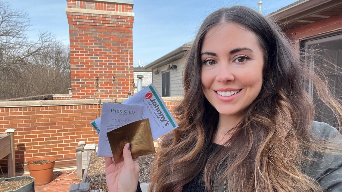 Sowing Cool Season Crops In My Raised Beds | Container Gardening