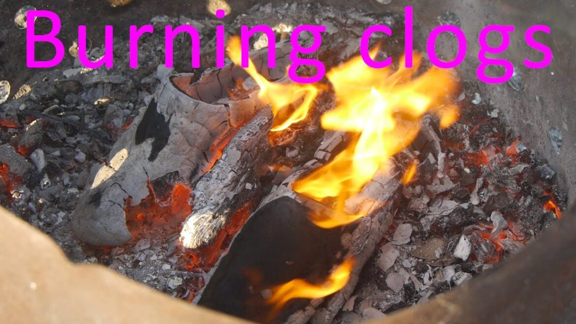 My yearly leaf burning and gardening session