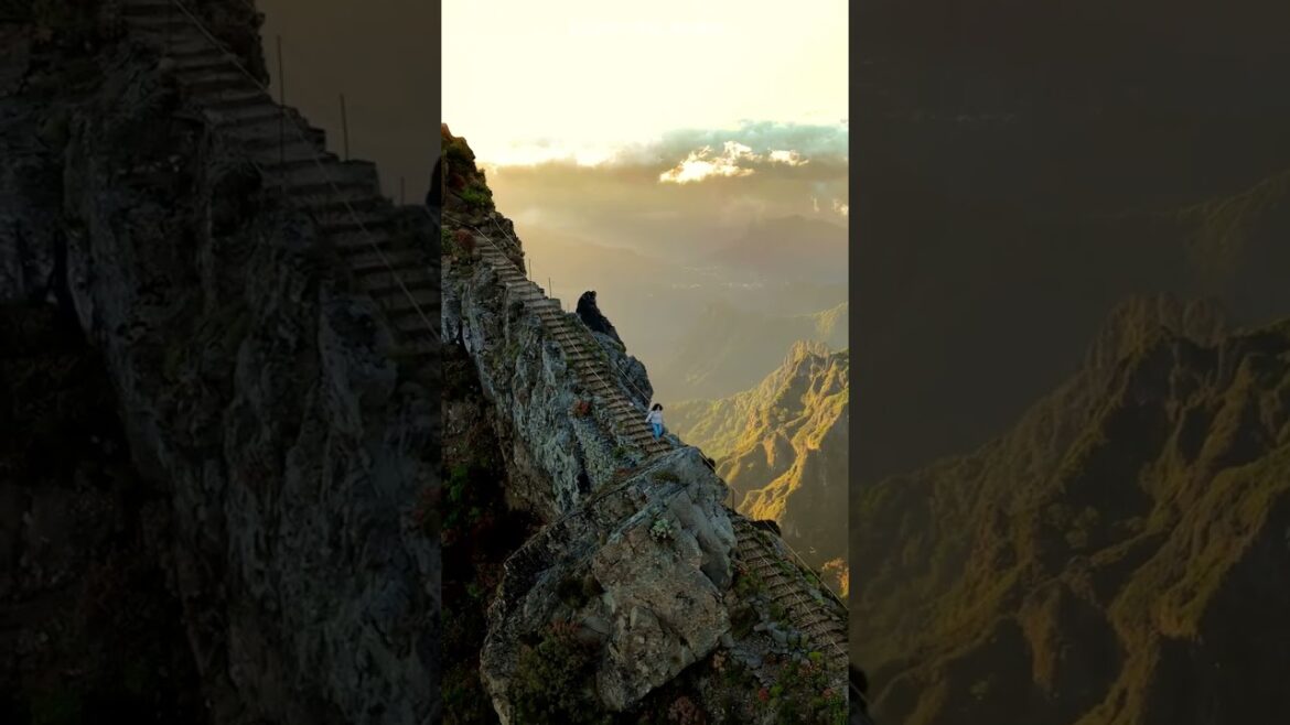 Healling Landscape Beautiful Videos 00043 | Healing Landscape #shorts #healinglandscape #healing Healling Landscape Beautiful Videos 00043 | Healing Landscape #shorts #healinglandscape #healing