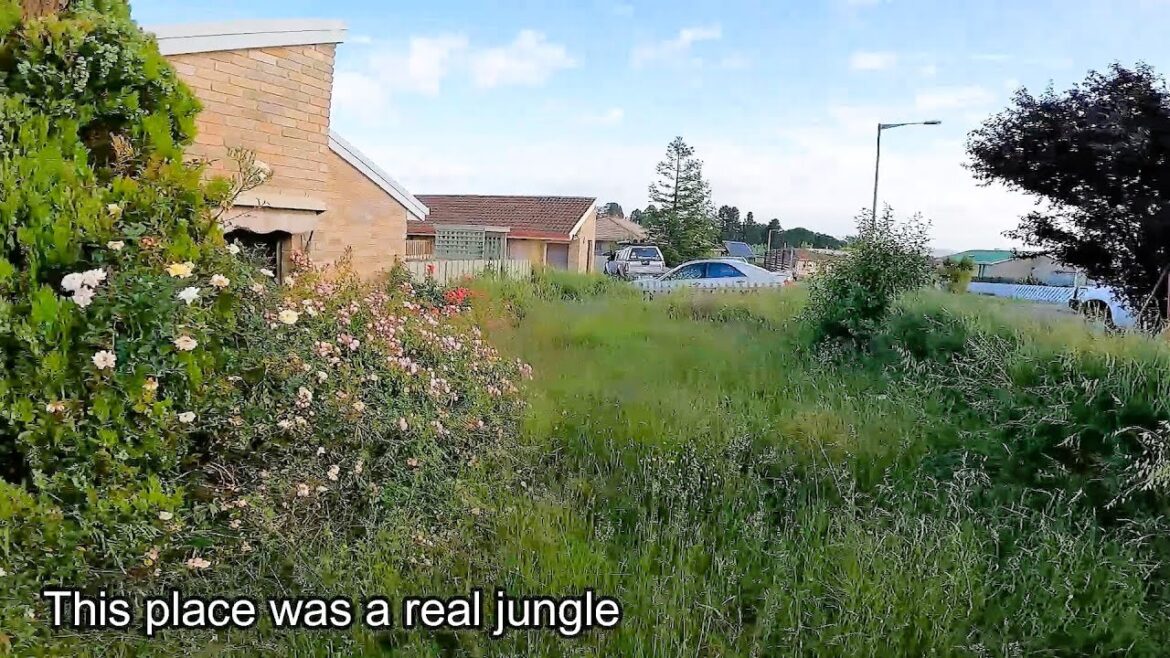 Garden Nightmare Restoration | Helping a Disabled Customer