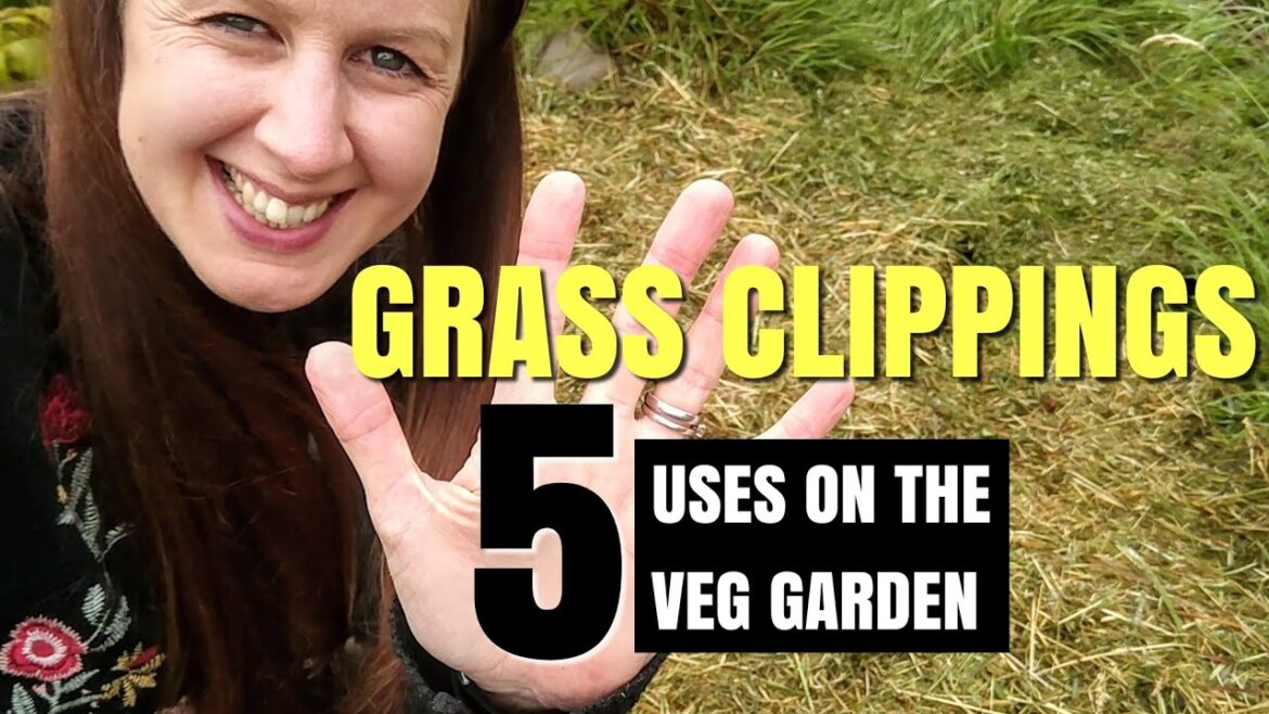 How To Use Grass Clippings In The Vegetable Garden | Build Soil For A Sustainable Organic Garden