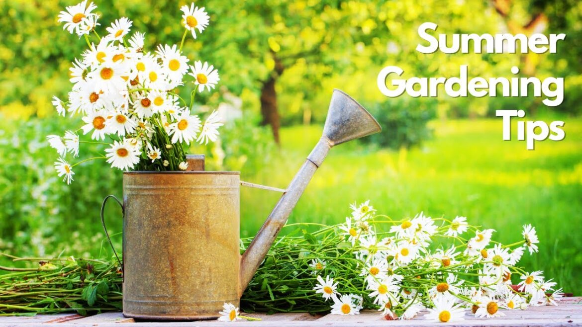 Summer Gardening Tips