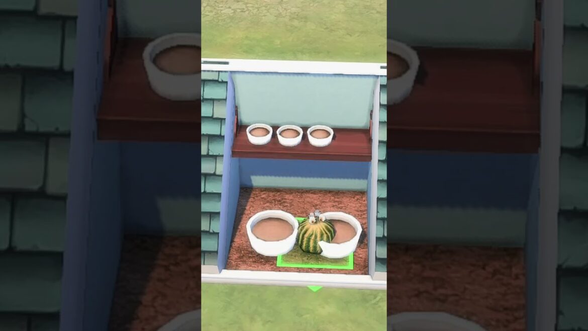 Garden Pot ideas in BASE GAME #sims4basegame #sims4garden #sims4ideas Garden Pot ideas in BASE GAME #sims4basegame #sims4garden #sims4ideas