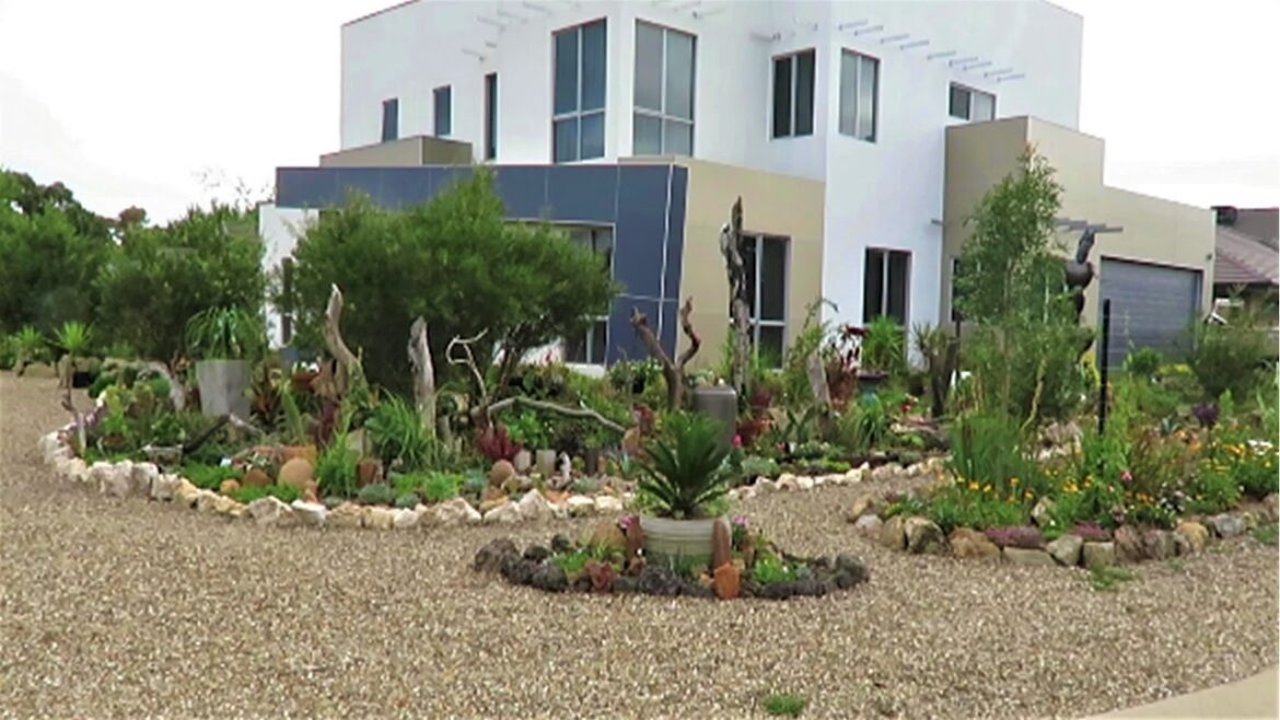 My Front Yard SUCCULENT Garden TOUR | Liz Kreate