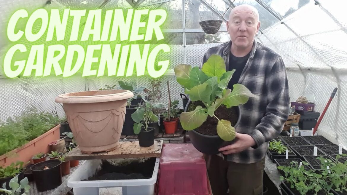 Container Gardening UK [Gardening Allotment UK] [Grow Vegetables At Home ]