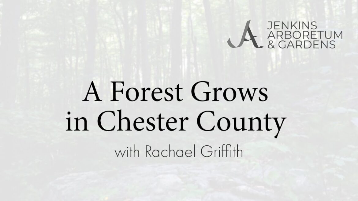 A Forest Grows in Chester County with Rachael Griffith