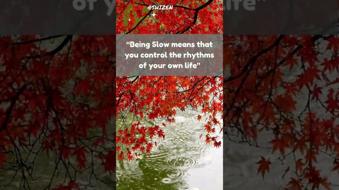 Slowing Down with Japanese Gardens