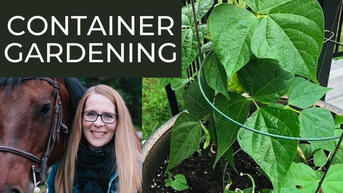 Simple Steps To Container Gardening Simple Steps To Container Gardening