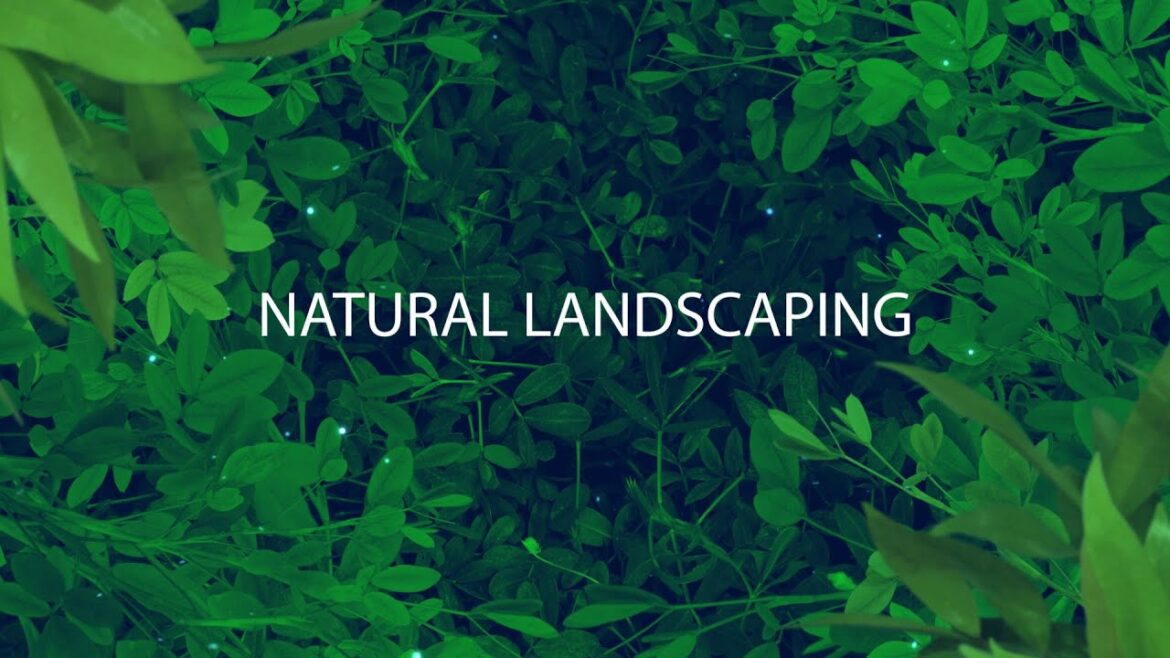 Natural Landscaping 2020