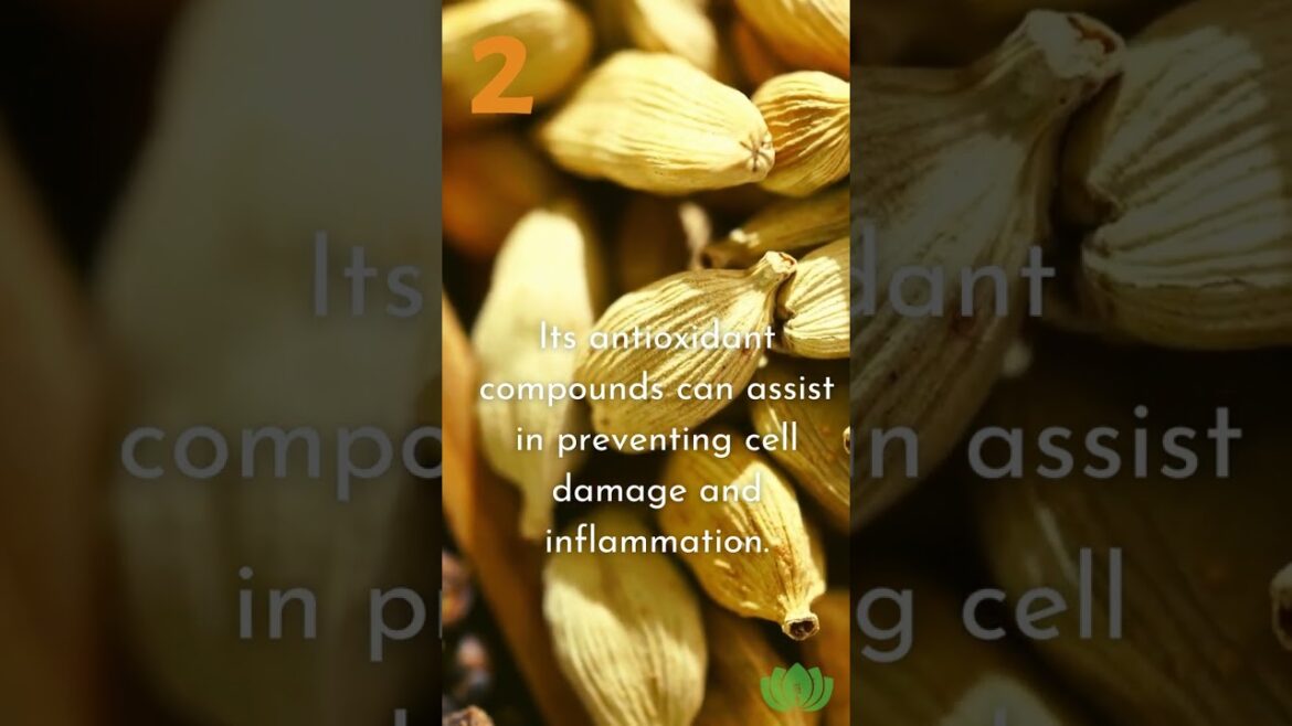 How can you use cardamom? How can you use cardamom?