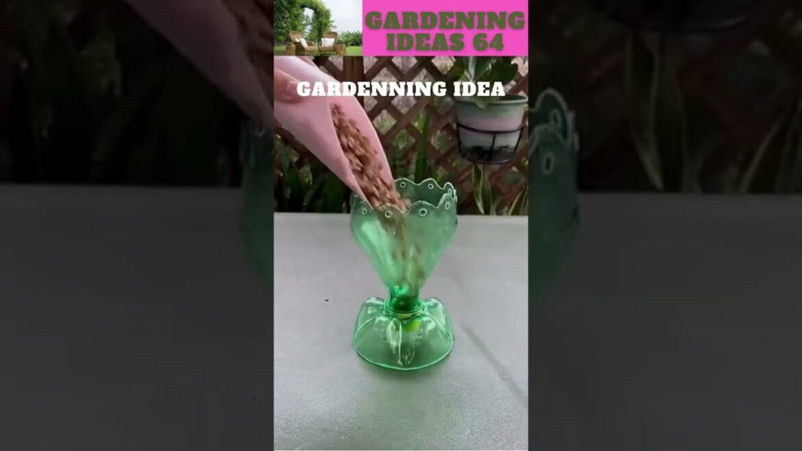 Empty bottles can grow flowers like thisππ΄π±πΏπ/gardening ideas πβ¦. @sunilmarchant Empty bottles can grow flowers like thisππ΄π±πΏπ/gardening ideas πβ¦. @sunilmarchant