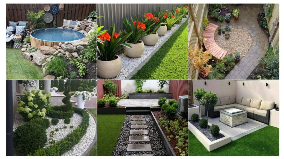 Garden and Backyard landscape design ideas|#landscape #design #2023 Garden and Backyard landscape design ideas|#landscape #design #2023