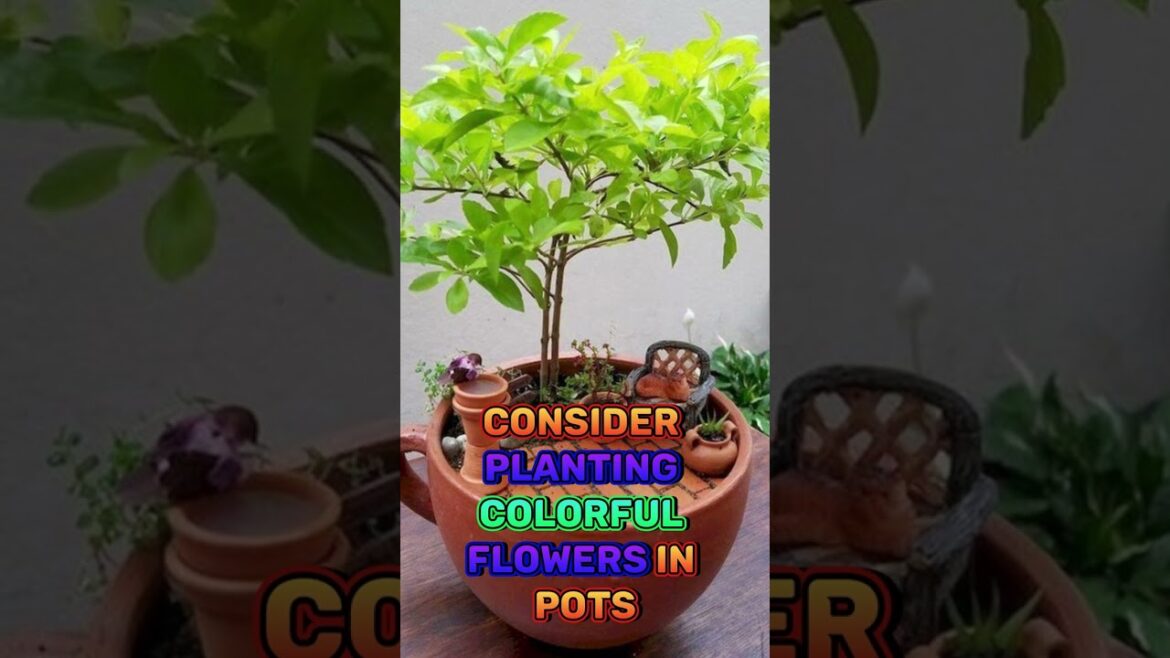 Cute Small Garden Ideas #shorts #viral #garden #smallgarden