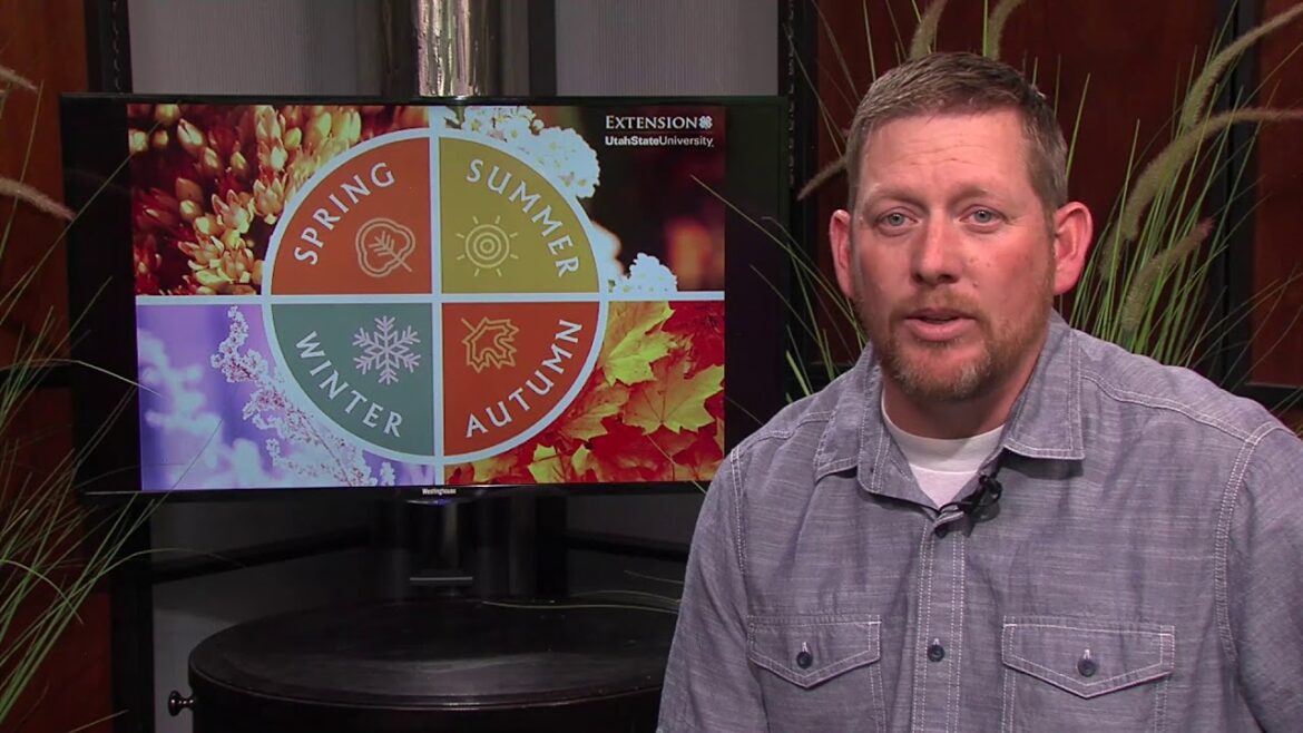 July Gardening Tips & Checklist