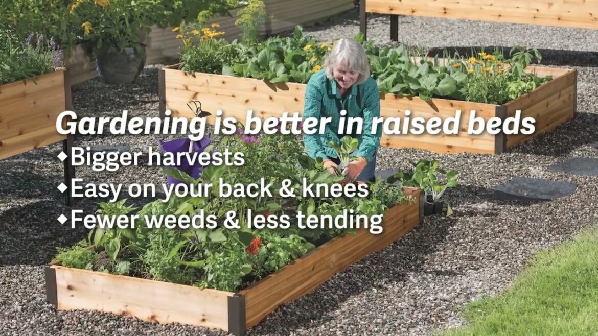 Cedar Raised Beds