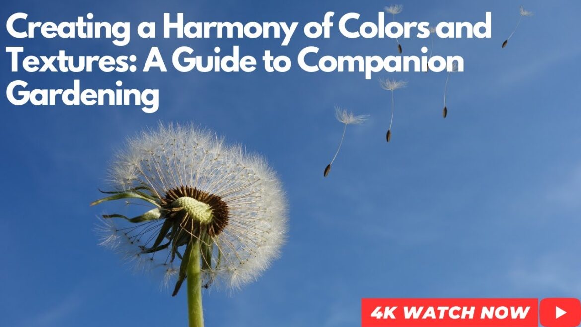 Creating a Harmony of Colors and Textures: A Guide to Companion Gardening Creating a Harmony of Colors and Textures: A Guide to Companion Gardening