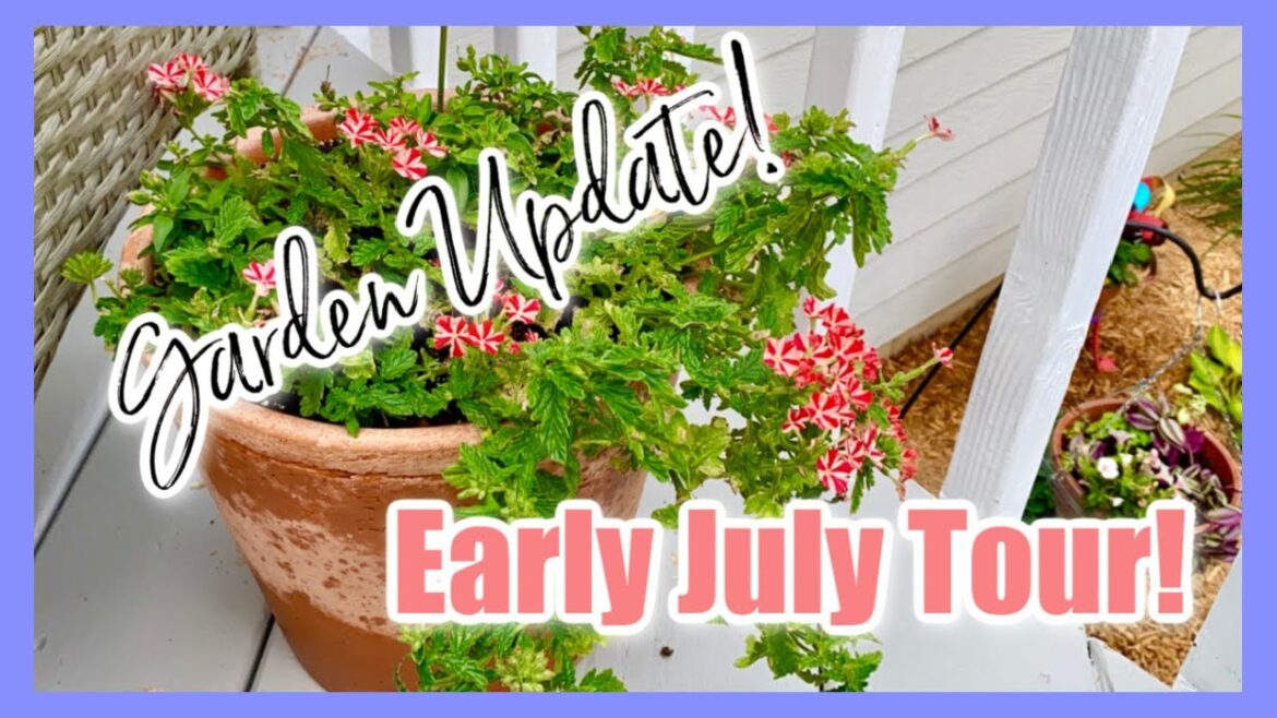 PEACEFUL WEEKLY GARDEN TOUR  Early July Garden Updates! Container Gardening & Garden Beds PEACEFUL WEEKLY GARDEN TOUR ** Early July Garden Updates! Container Gardening & Garden Beds