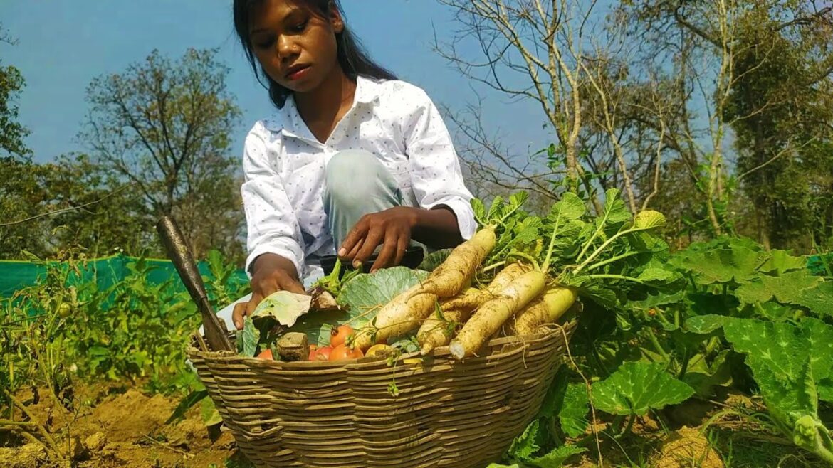 [ Food From Ground To Table ]- Season 4 | Vegetable Garden Preparation and Vegetable Harvesting