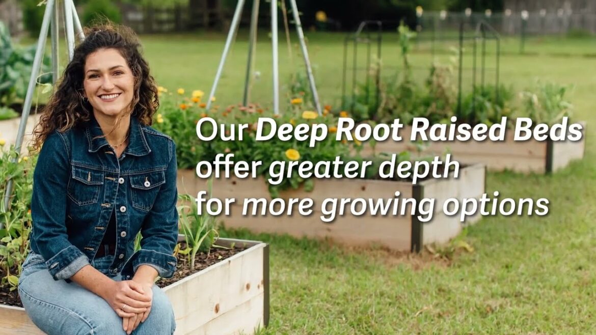 Deep Root Raised Beds