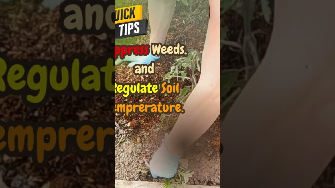 Green Thumbs 🌱Spring Gardening Tips 🌱 for All Levels # 53