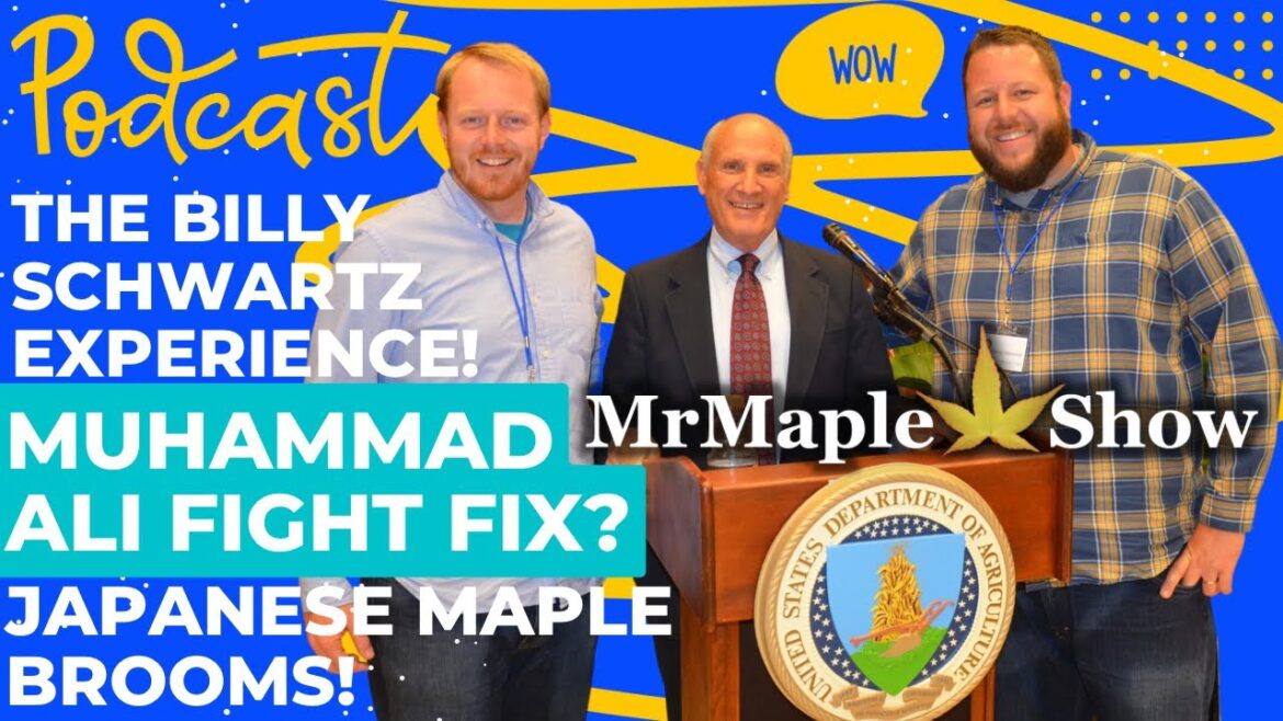 The Billy Schwartz Experience! Muhammad Ali Fight Fix? & Japanese Maple Brooms! MrMaple Podcast #27 The Billy Schwartz Experience! Muhammad Ali Fight Fix? & Japanese Maple Brooms! MrMaple Podcast #27