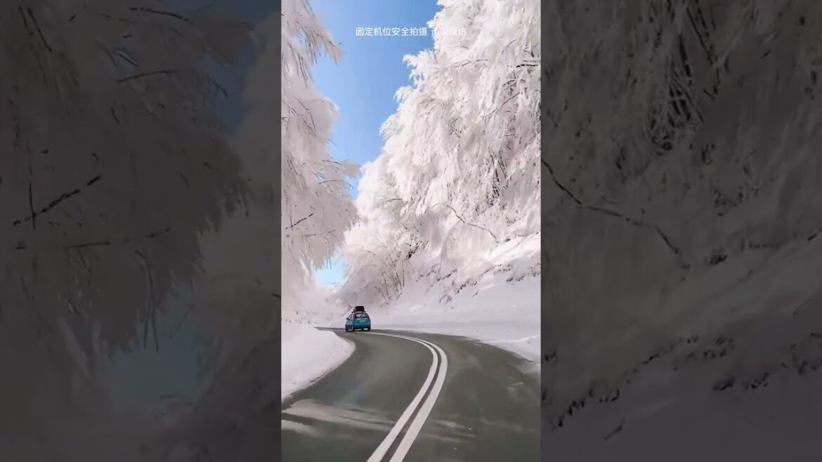 Healling Landscape Beautiful Videos 00038    | Healing Landscape  #shorts #healinglandscape #healing