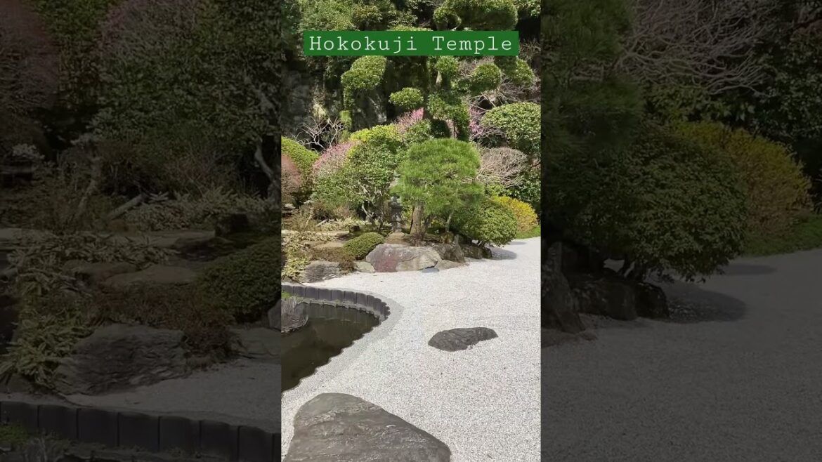 Hokokuji, Kamakura with a beautiful Japanese garden🪨✨