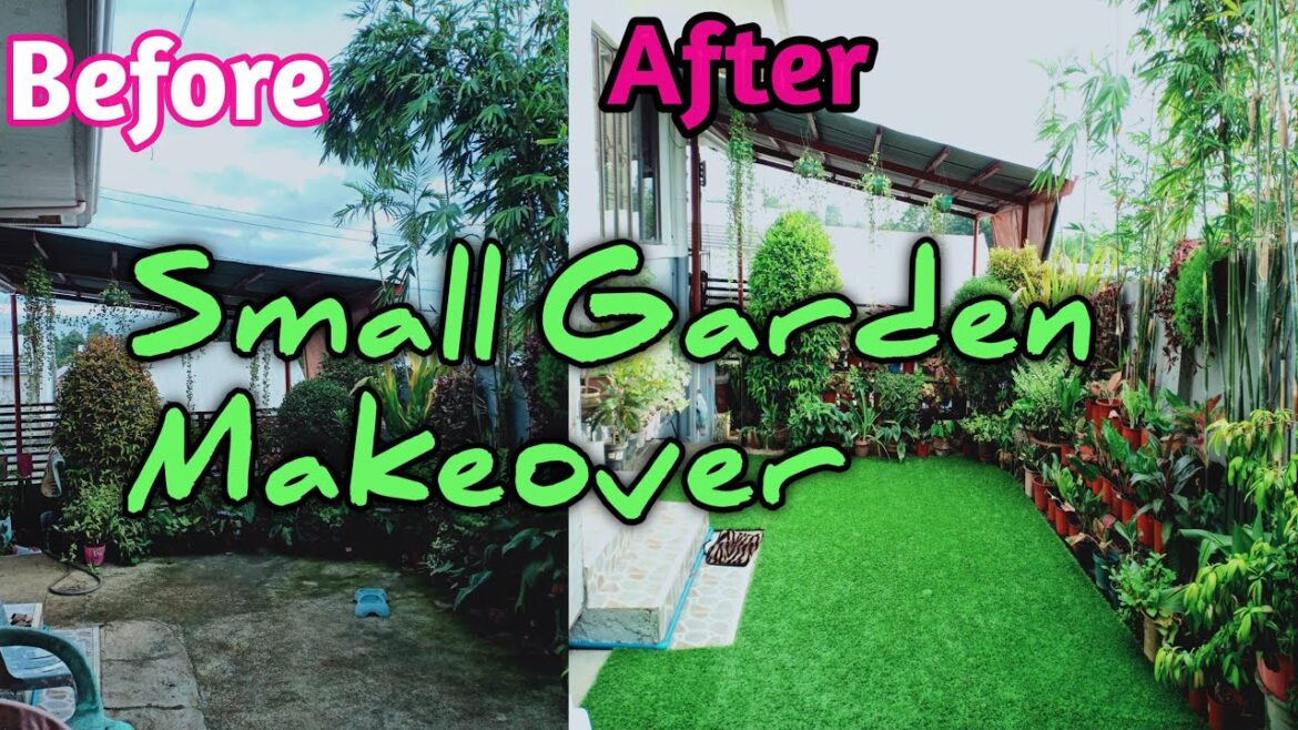 Mini Garden Makeover/Small Garden ideas/Tisay Collection Mini Garden Makeover/Small Garden ideas/Tisay Collection