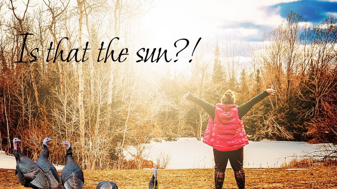 Spring Time Blessings in The Countryside | Turkeys, Garden Plans and Easy Dinner ☀️🦃🪴🥩