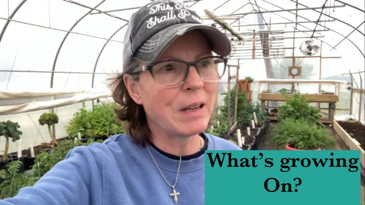 Update on Spring Garden! It’s time to plant!