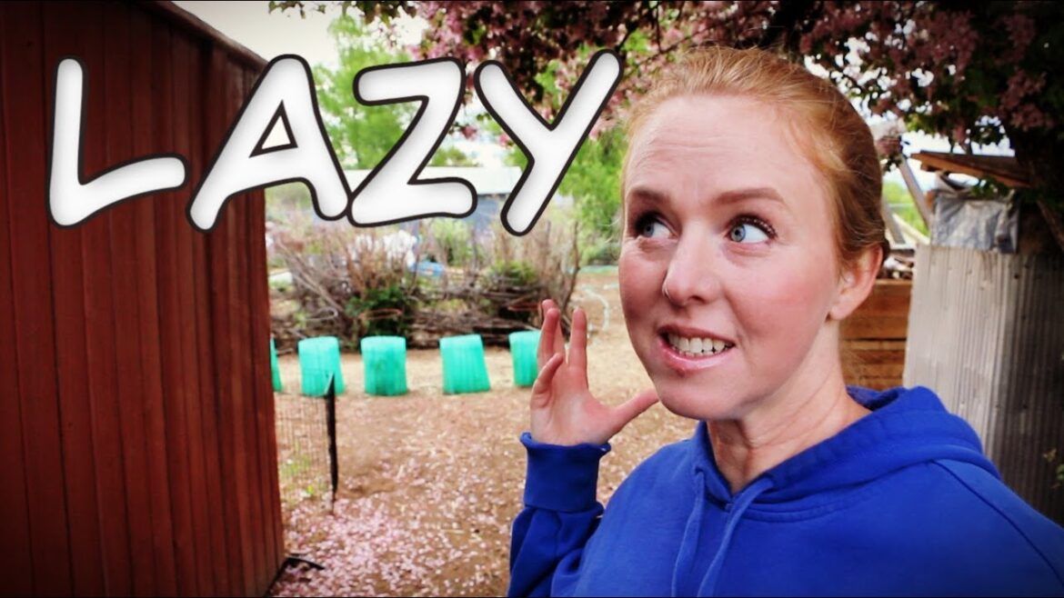 Lazy Gardening is Just Good Systems Lazy Gardening is Just Good Systems