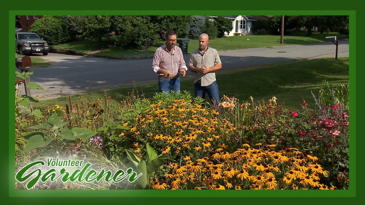 Direct Sow Ornamentals + Garden Design Principles | Volunteer Gardener