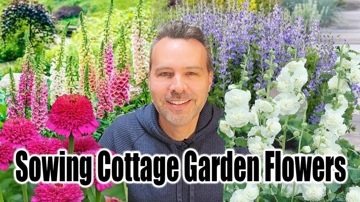 Sowing Flower Seeds for the Cottage Garden
