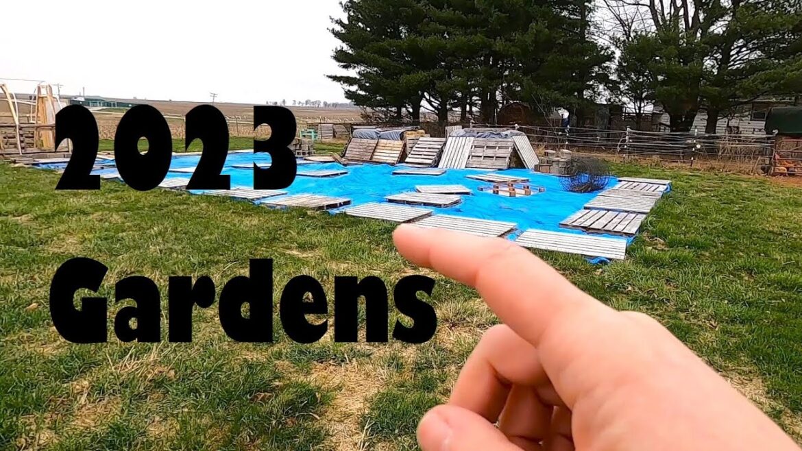 Garden Plans 2023 🌱