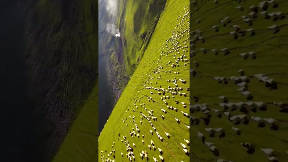 Healling Landscape Beautiful Videos 00046    | Healing Landscape  #shorts #healinglandscape #healing