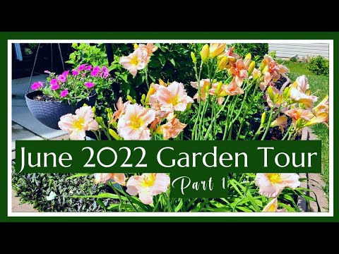 June Garden Tour 2022🌸| Front Yard| Zone 7b June Garden Tour 2022🌸| Front Yard| Zone 7b