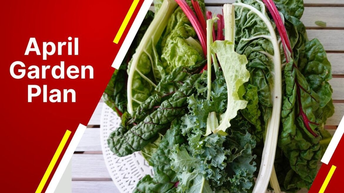 April Gardening in Florida: Top 15 Vegetables to Plant NOW FREE Seed Giveaway