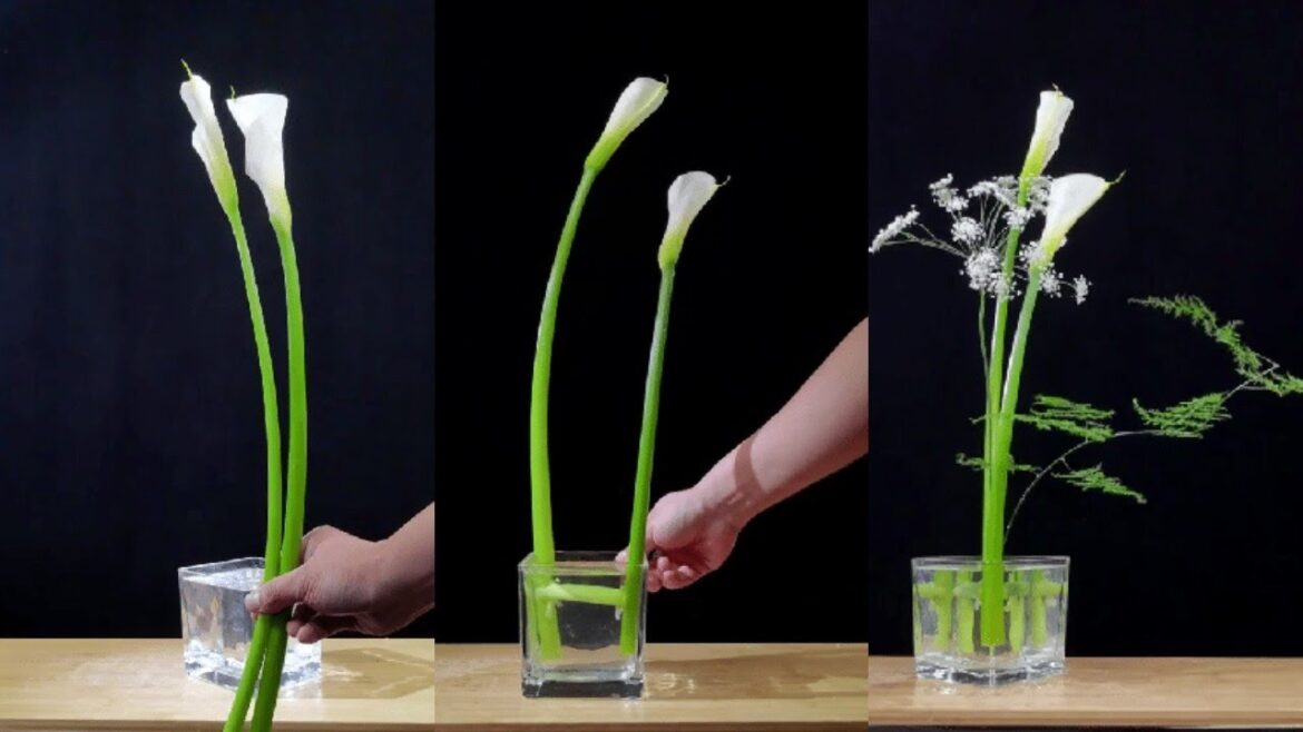 Creative Flower Arrangements - Useful Flower Arranging Tips| DIY| Garden| Flower