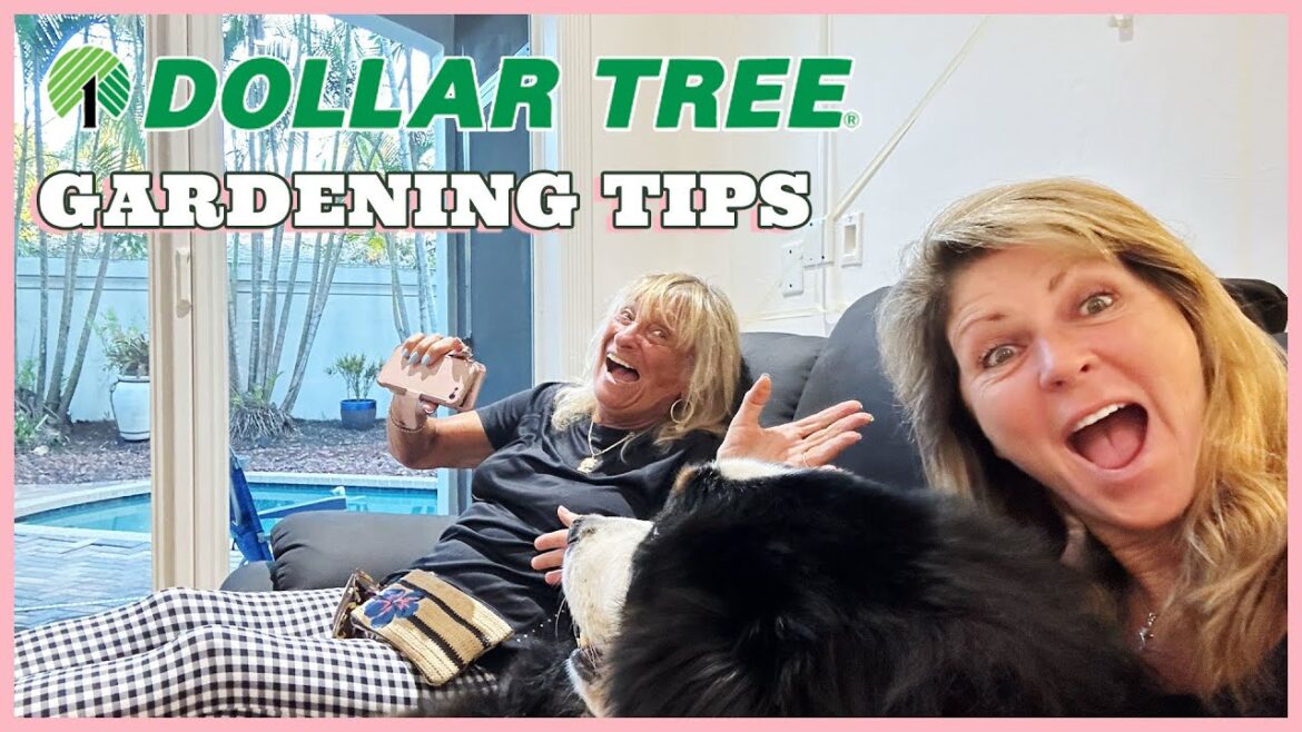 Budget-Friendly Gardening: Amazing Tips and Ideas Using Dollar Store Supplies!