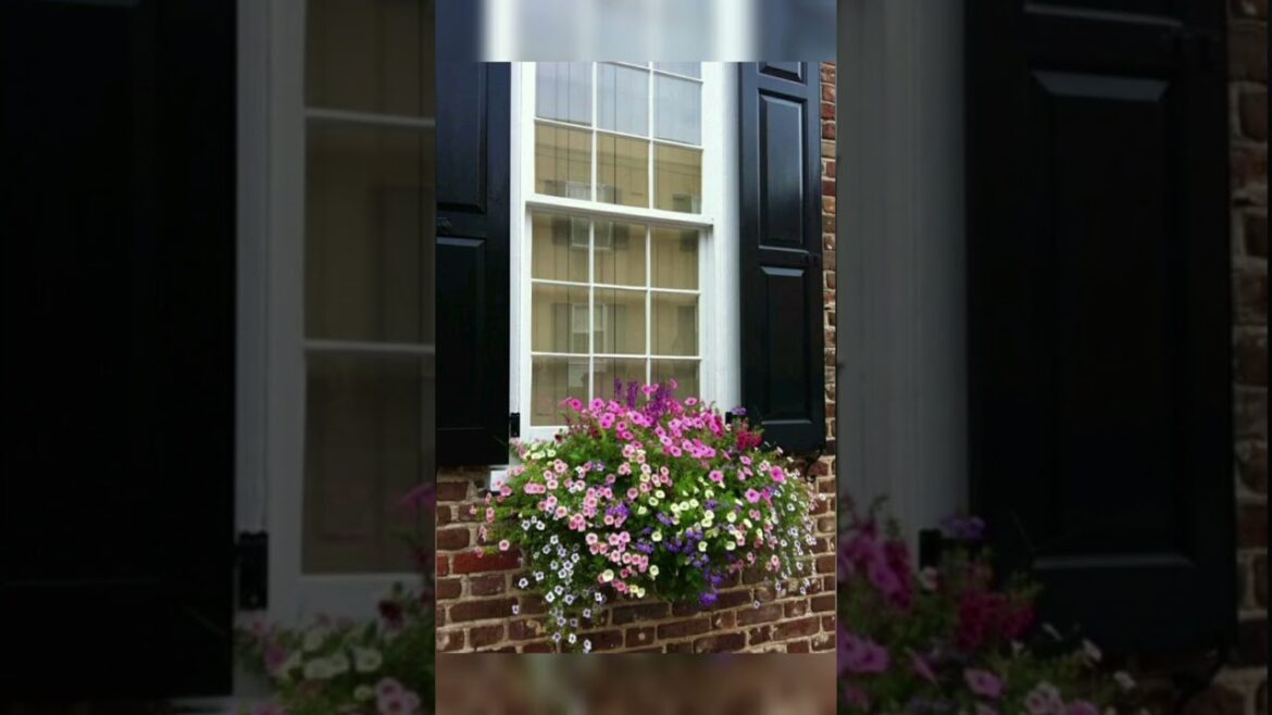 Flower garden ideas #shorts