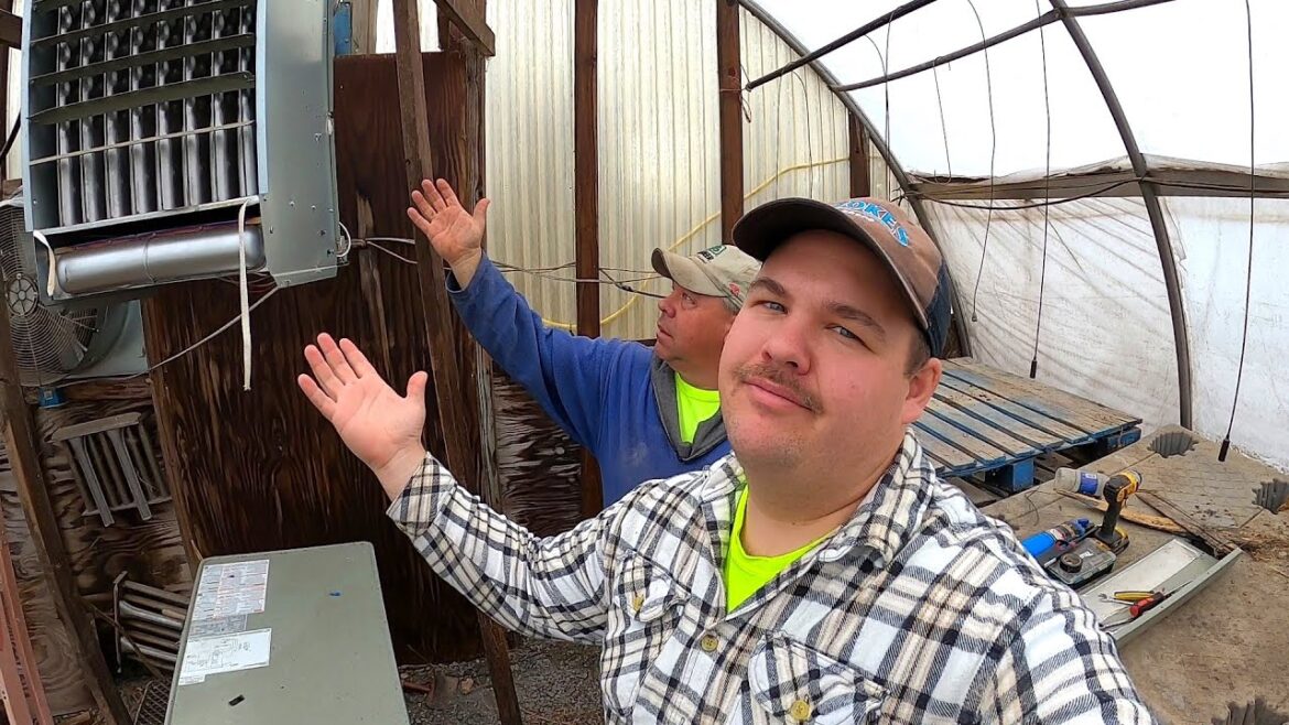 THE LAST THING WE NEEDED