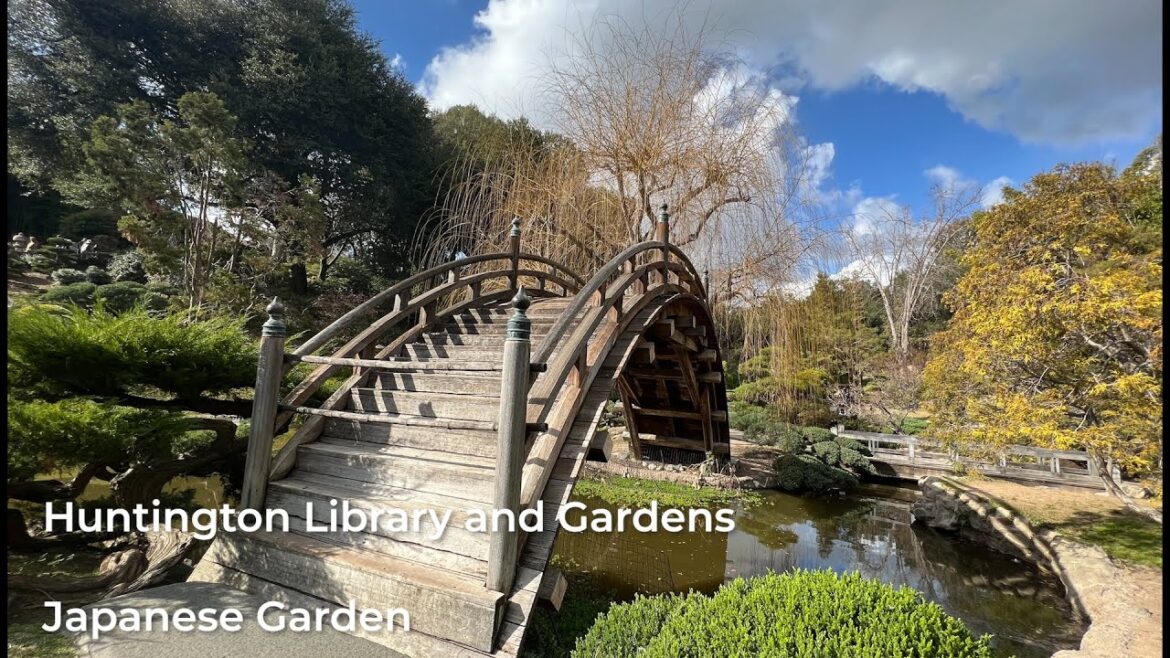 Garden Tour | Uncover the Wonders of A Tranquil Japanese Garden Garden Tour | Uncover the Wonders of A Tranquil Japanese Garden